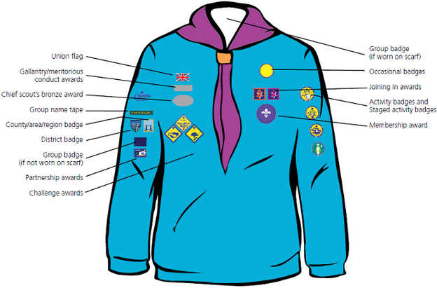 What do Beavers wear?